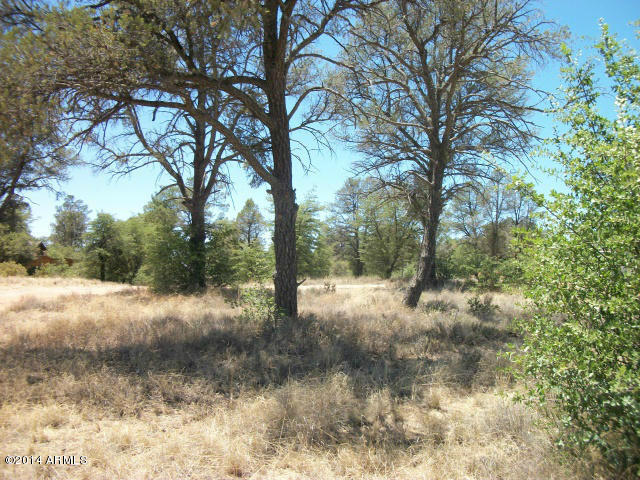 412 South Forest Ridge Court, Unit 9 Payson, AZ 85541 - Photo 3 of 6 Photo 03