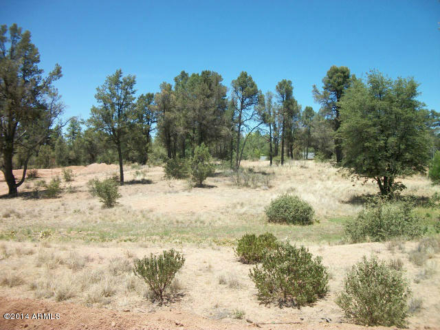 412 South Forest Ridge Court, Unit 9 Payson, AZ 85541 - Photo 5 of 6 Photo 05