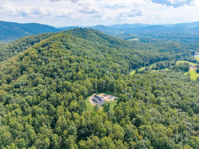 a view of a green field with lots of bushes