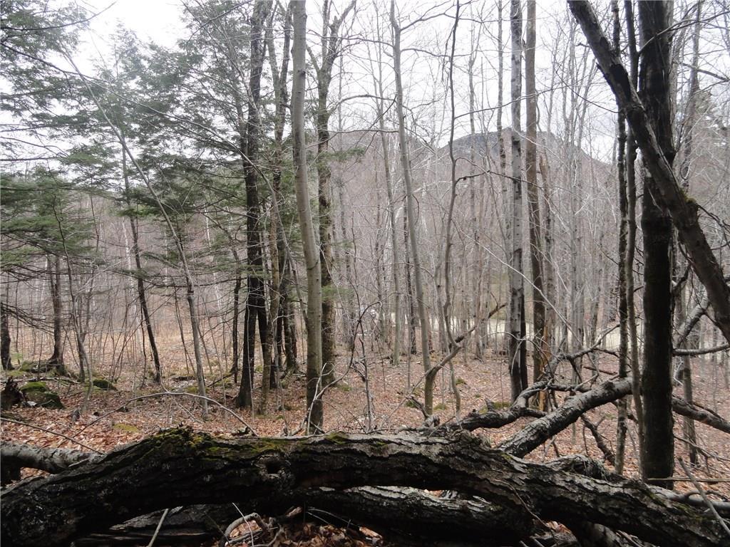 0 Redding-saunders Road Bryant Pond, ME 04219 - Photo 18 of 29 Photo