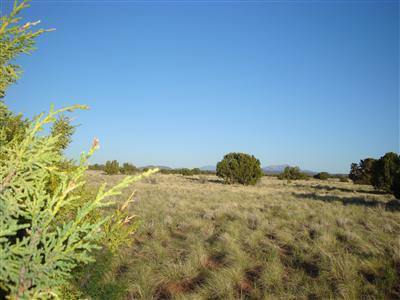 3062 South Sycamore Road Williams, AZ 86046 - Photo 1 of 4 Primary Photo