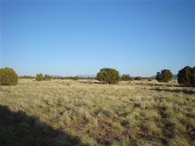 3062 South Sycamore Road Williams, AZ 86046 - Photo 2 of 4 Additional Photo