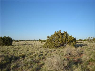 3062 South Sycamore Road Williams, AZ 86046 - Photo 3 of 4 Additional Photo