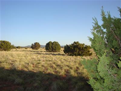 3062 South Sycamore Road Williams, AZ 86046 - Photo 4 of 4 Additional Photo
