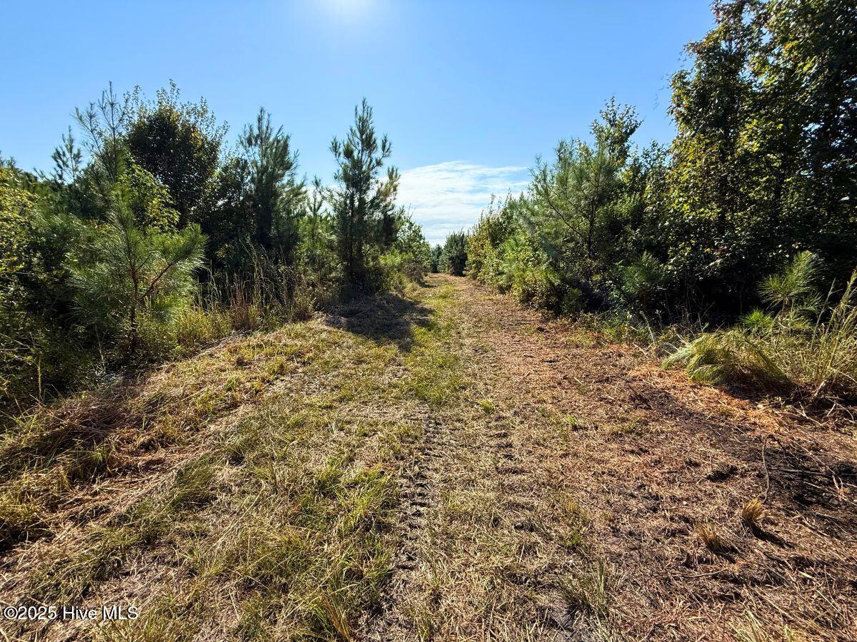 0 Institute Road Kinston, NC 28504 - Photo 30 of 41 32
