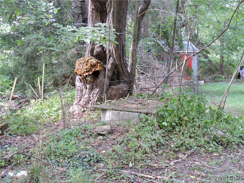 11232 Snyder Road Concord, NY 14141 - Photo 12 of 33