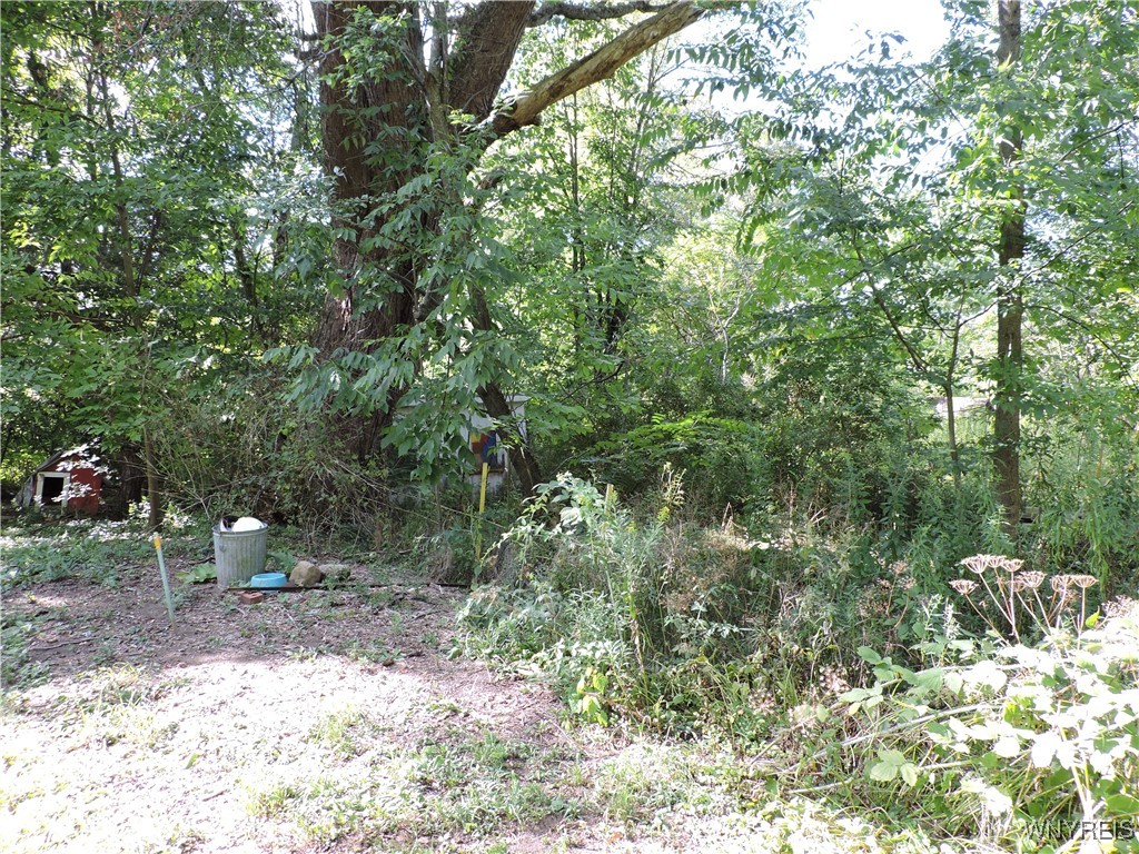 11232 Snyder Road Concord, NY 14141 - Photo 2 of 33