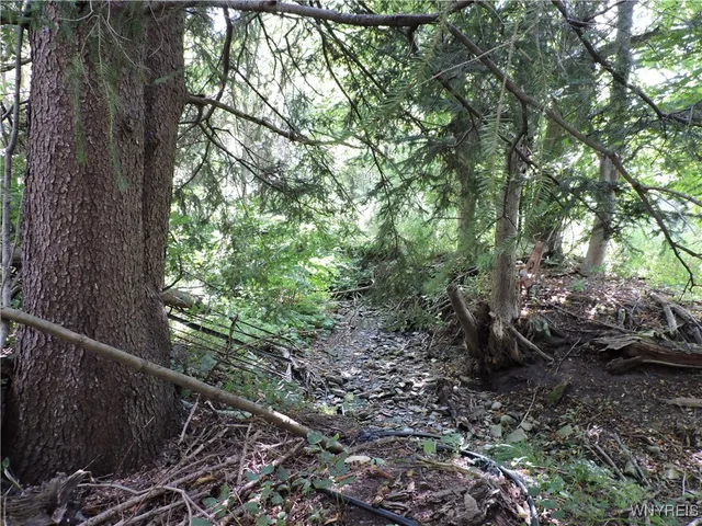 $89,900 | 11232 Snyder Road, Concord, NY 14141