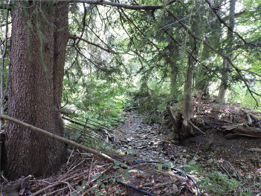 11232 Snyder Road Concord, NY 14141 - Photo 5 of 33