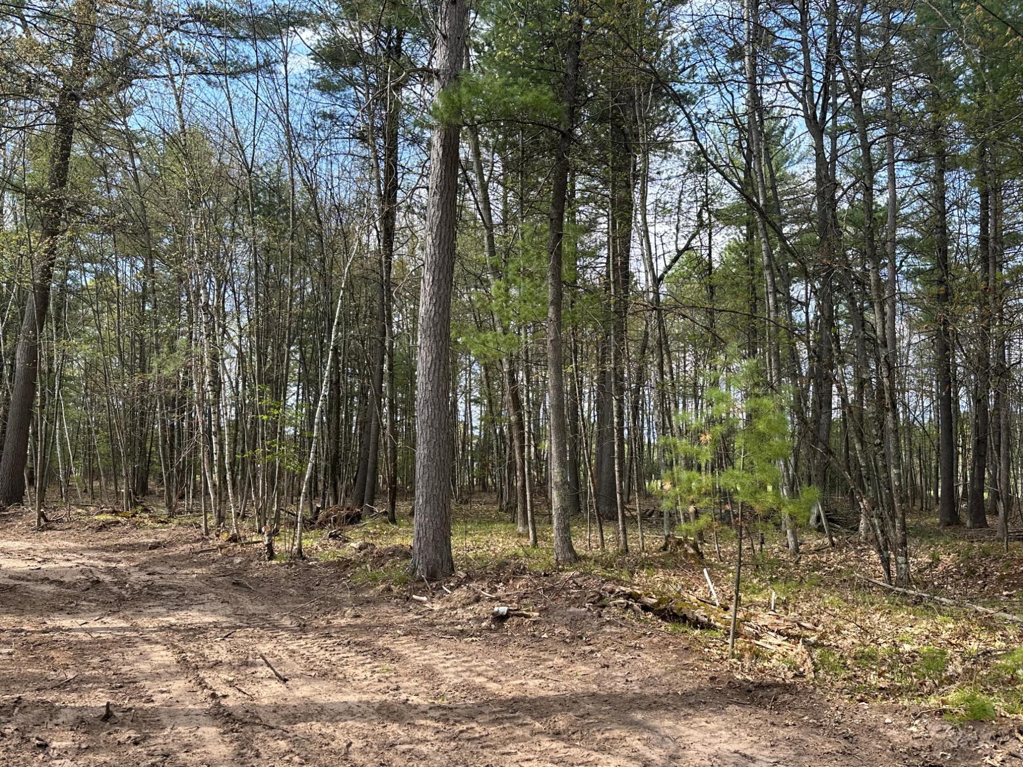Lot 3 Pine Breeze Way Rhinelander, WI 54501 - Photo 4 of 14 Gallery Image 4