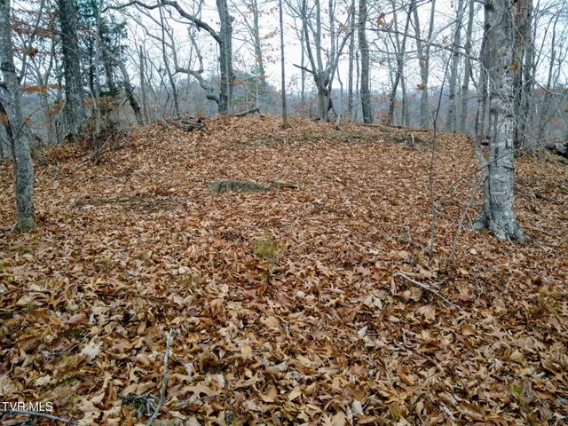 $50,000 | 0 New Hope Road, Sneedville, TN 37869