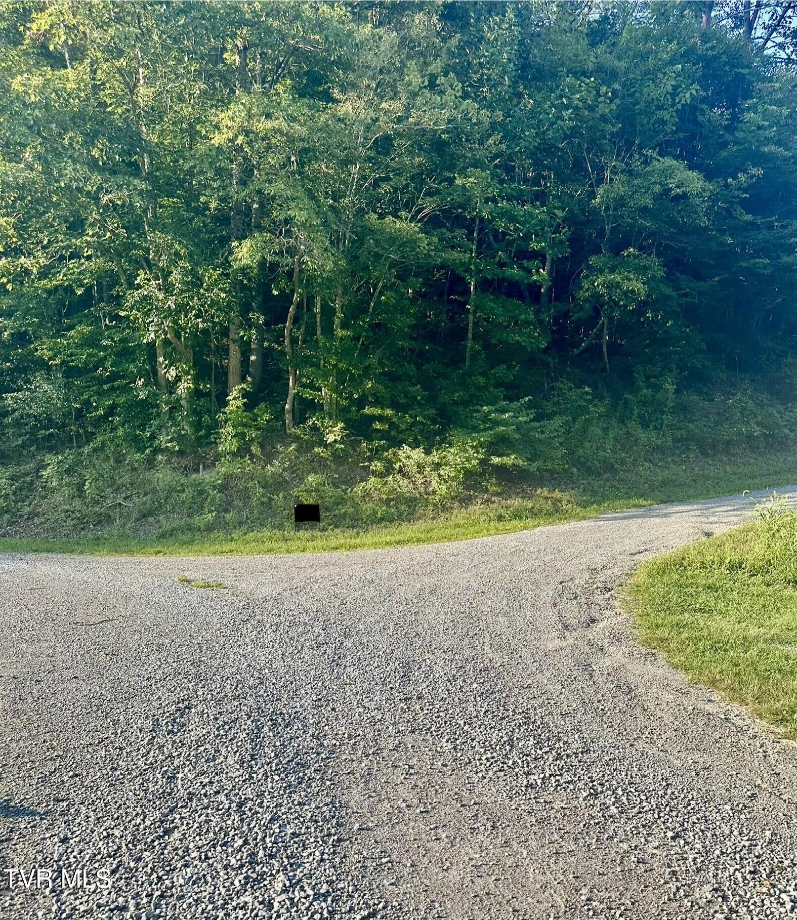 0 New Hope Road Sneedville, TN 37869 - Photo 3 of 4 Photo New Hope 3