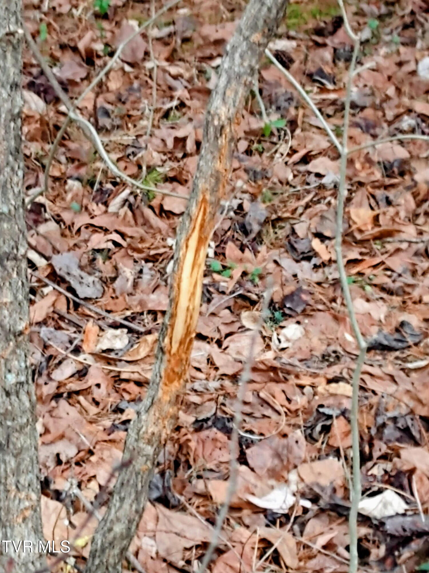 0 New Hope Road Sneedville, TN 37869 - Photo 4 of 4 Photo New Hope 4