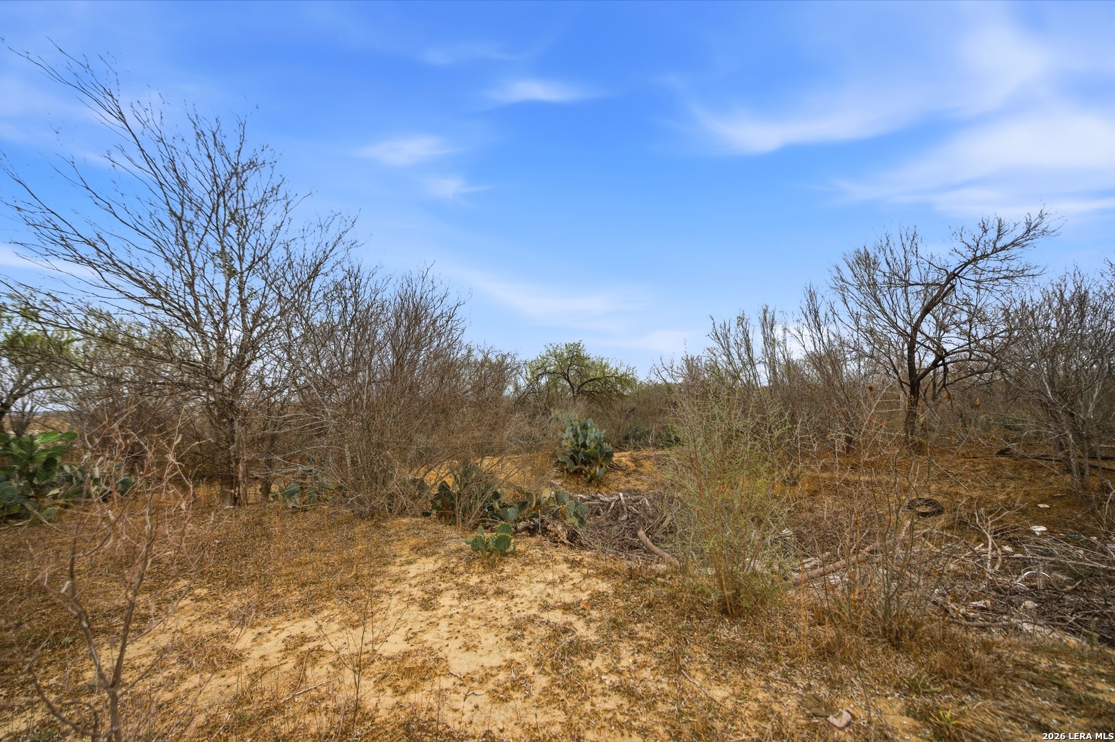 4988 South Loop 1604 East Elmendorf, TX 78112 - Photo 26 of 31 a view of a yard with trees in the background