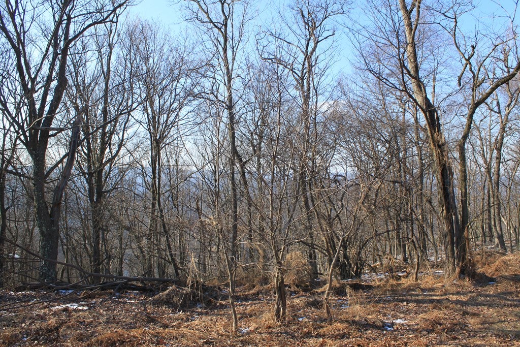 . Corbin Road Huntingdon, PA 16652 - Photo 2 of 23 Gallery Image 2