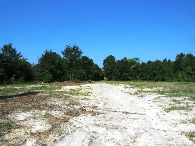 a view of a field with trees in background