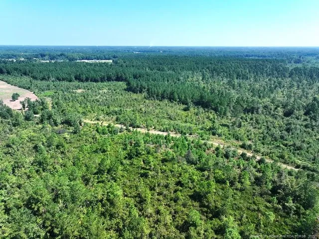 a view of a green field