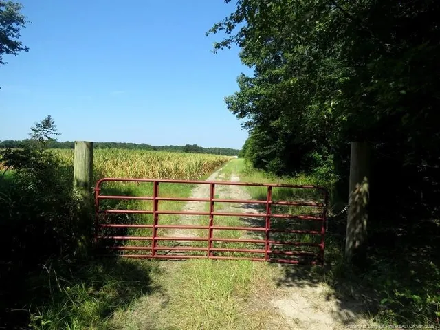 a view of a field with plants and trees in the background