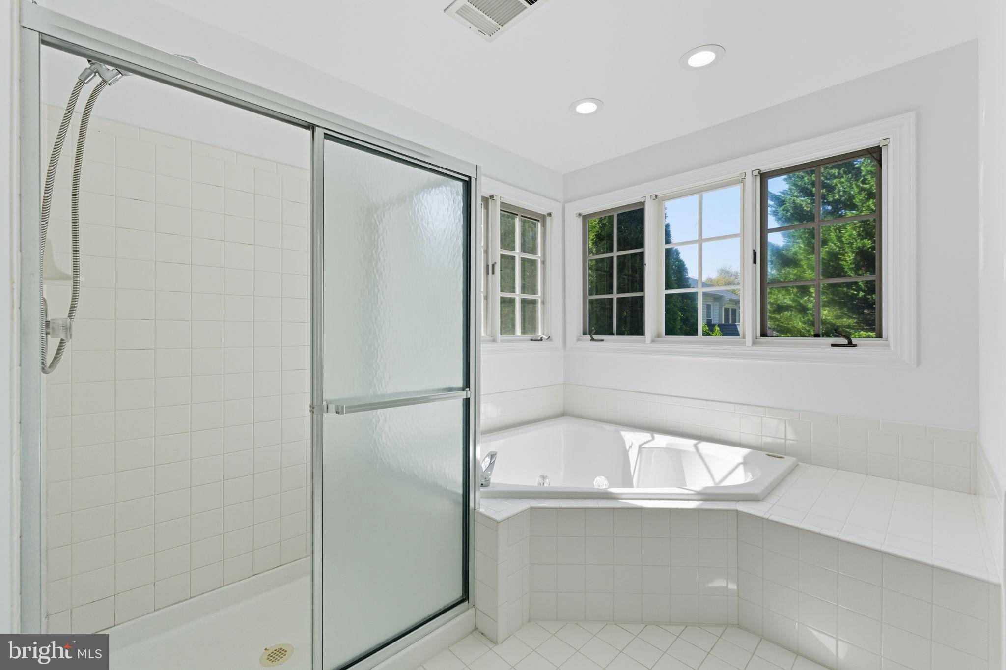 20765 Bank Way Sterling, VA 20165 - Photo 30 of 61 master bath