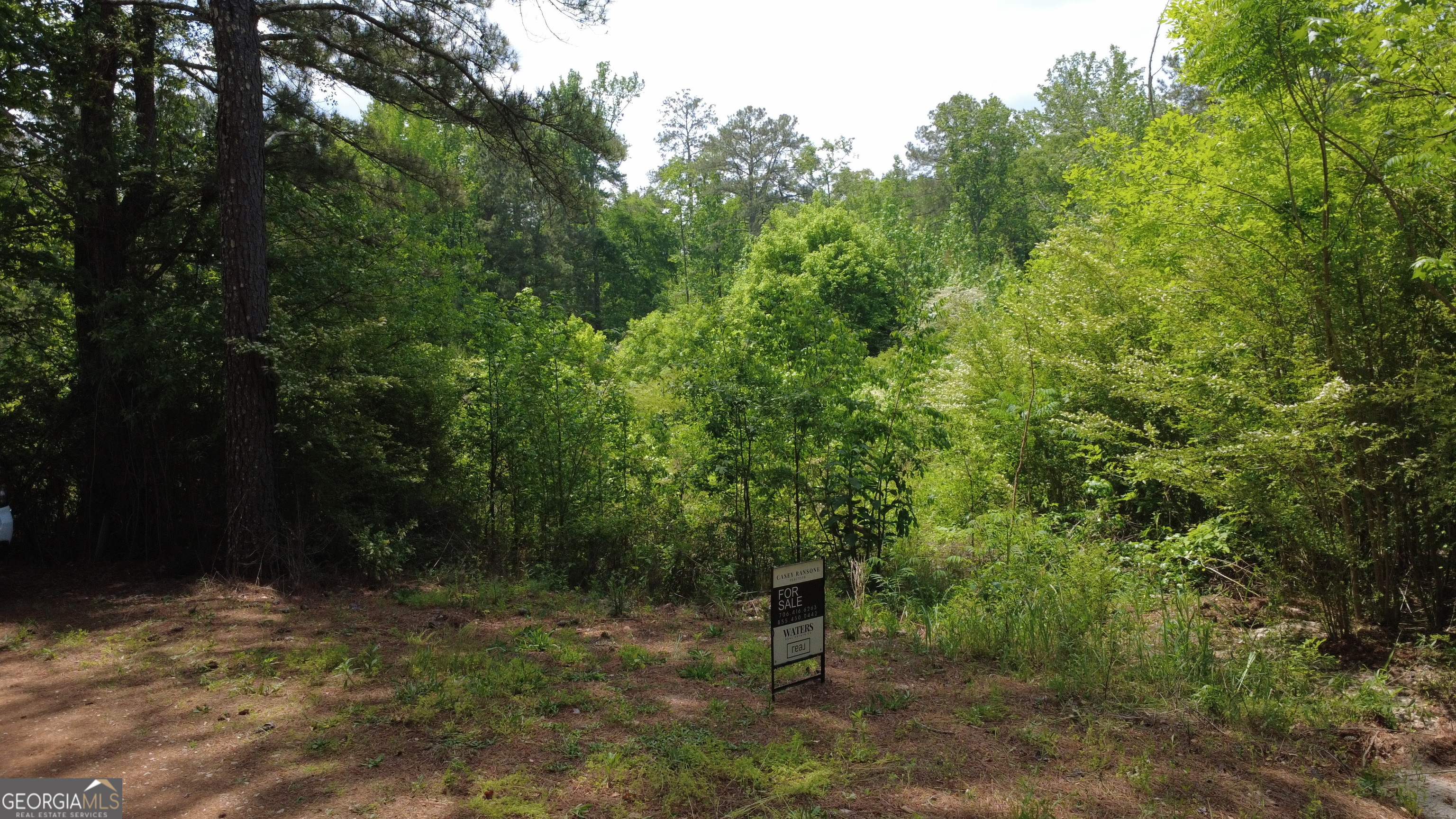 120 Awbrey Road Franklin, GA 30217 - Photo 3 of 6 a view of outdoor space and yard