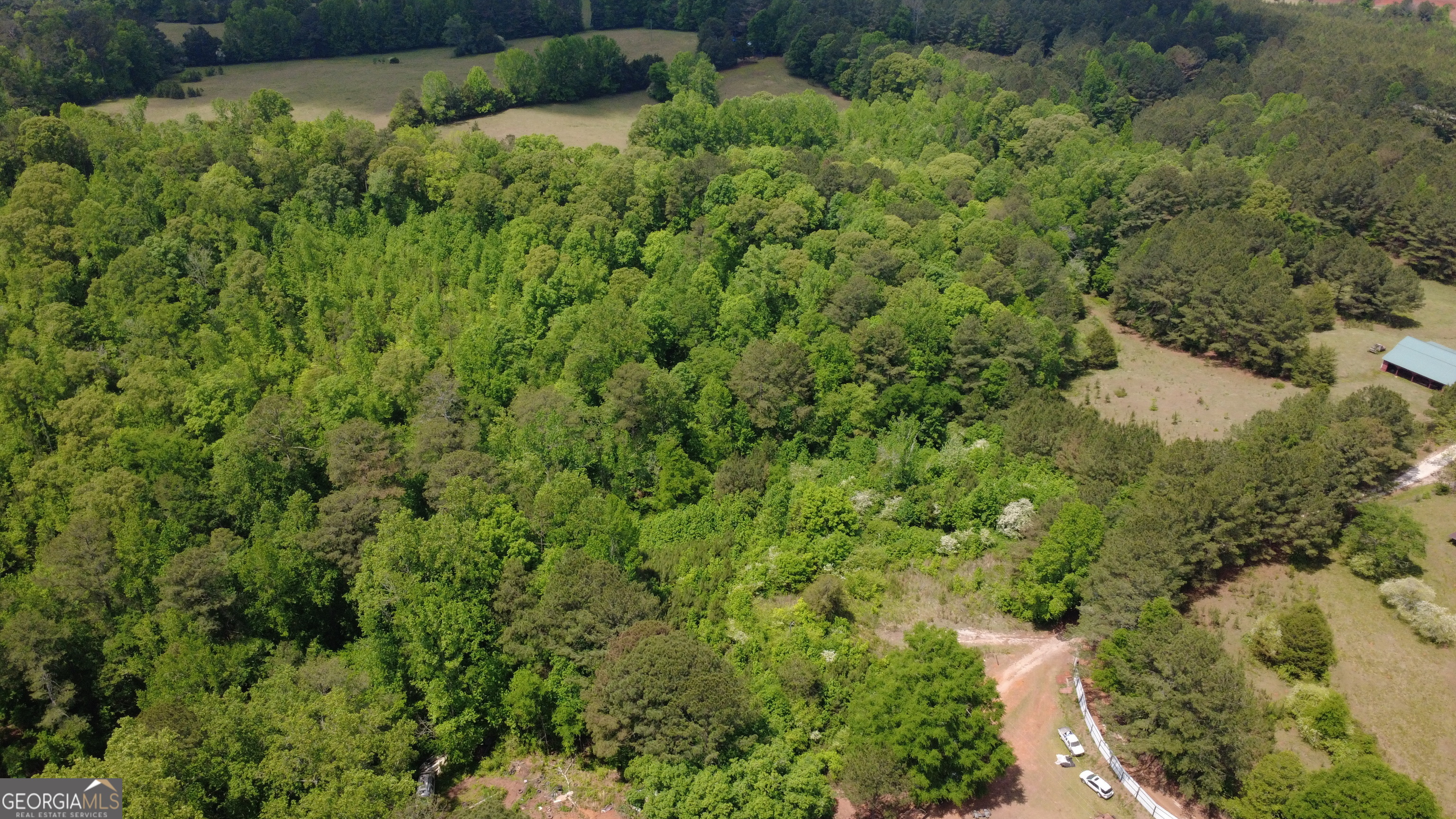 120 Awbrey Road Franklin, GA 30217 - Photo 5 of 6 a view of a lush green forest with lots of trees