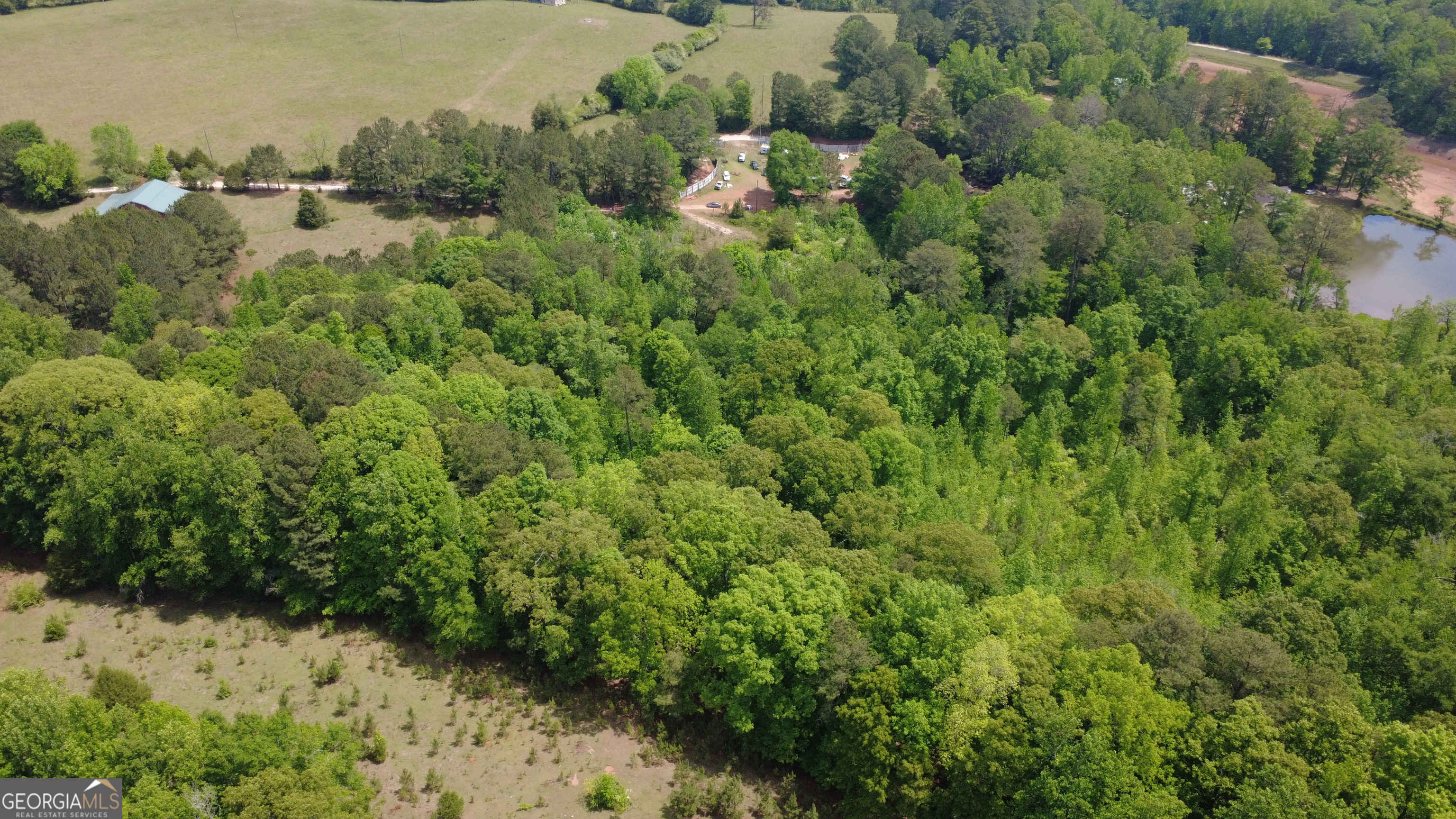 120 Awbrey Road Franklin, GA 30217 - Photo 6 of 6 a view of a bunch of trees and bushes