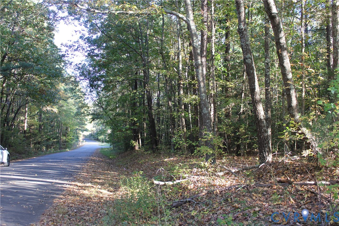 Left side of lot - down Salk Rd -