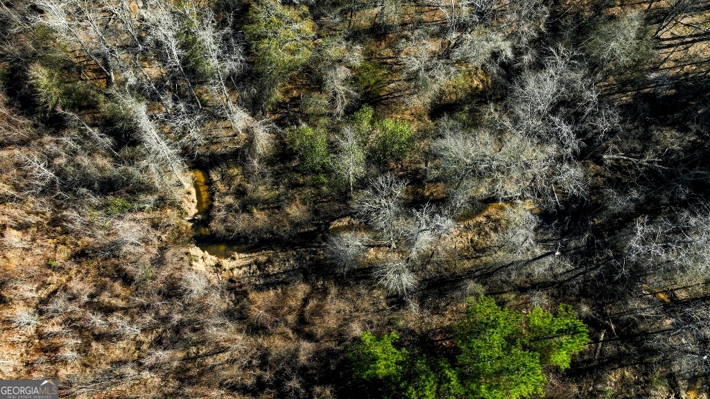 0 Crooked Road Millen, GA 30442 - Photo 11 of 33