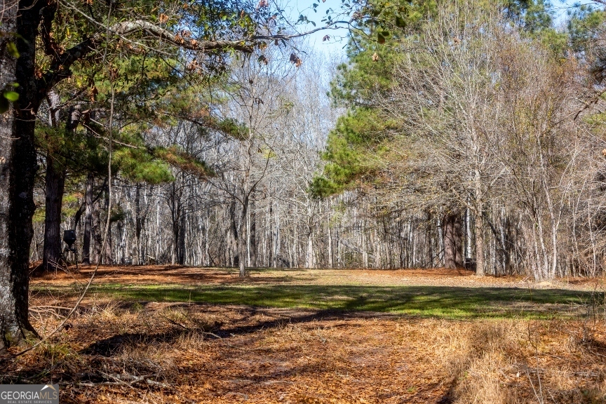 0 Crooked Road Millen, GA 30442 - Photo 12 of 33