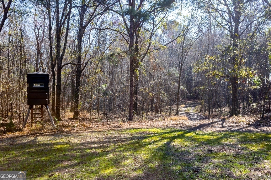 0 Crooked Road Millen, GA 30442 - Photo 13 of 33