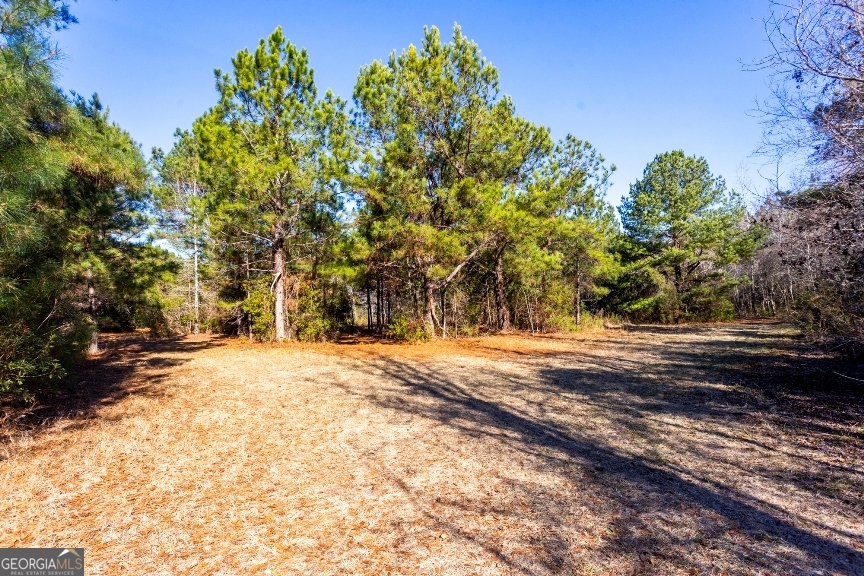 0 Crooked Road Millen, GA 30442 - Photo 16 of 33