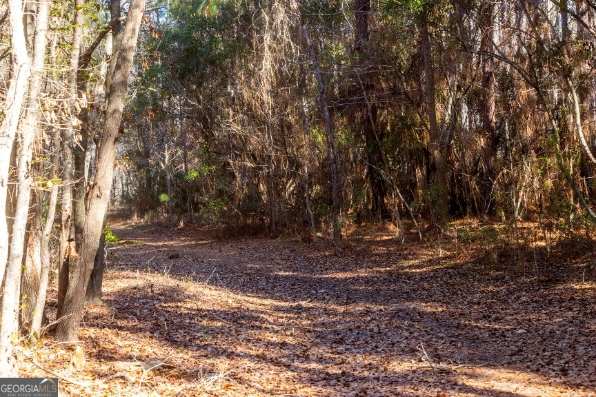 0 Crooked Road Millen, GA 30442 - Photo 19 of 33