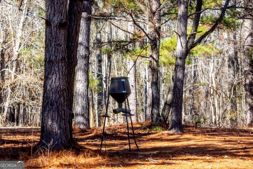 0 Crooked Road Millen, GA 30442 - Photo 20 of 33