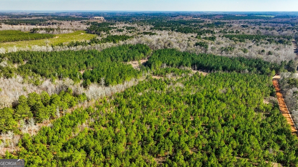 0 Crooked Road Millen, GA 30442 - Photo 2 of 33