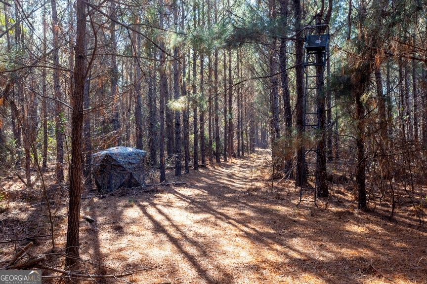 0 Crooked Road Millen, GA 30442 - Photo 23 of 33