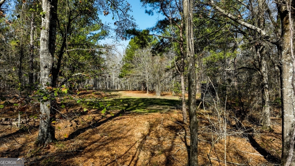 0 Crooked Road Millen, GA 30442 - Photo 29 of 33