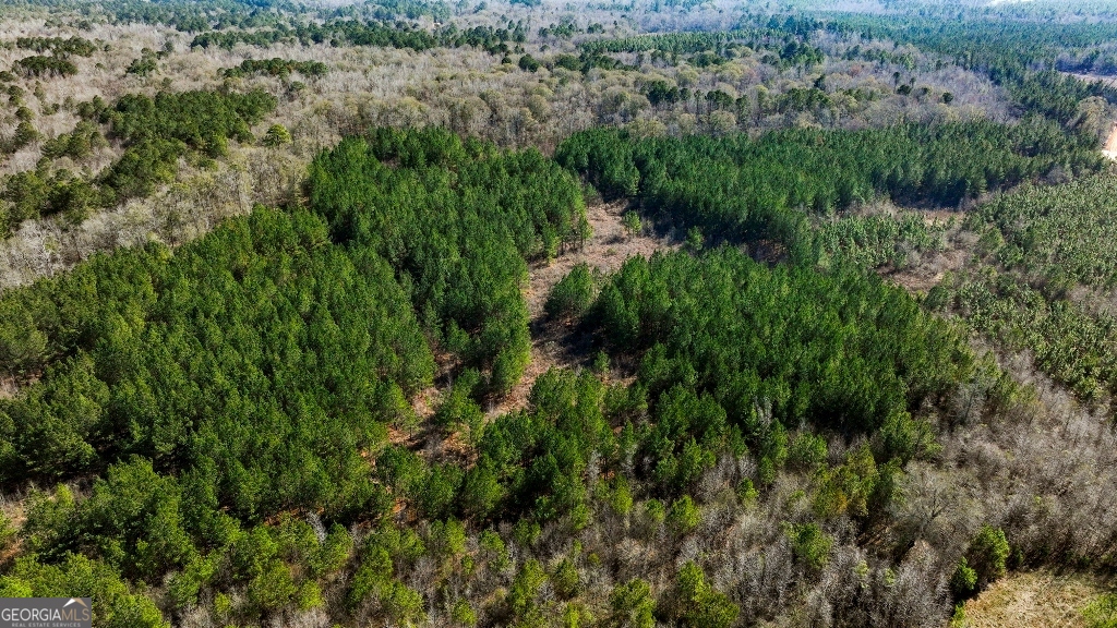 0 Crooked Road Millen, GA 30442 - Photo 3 of 33
