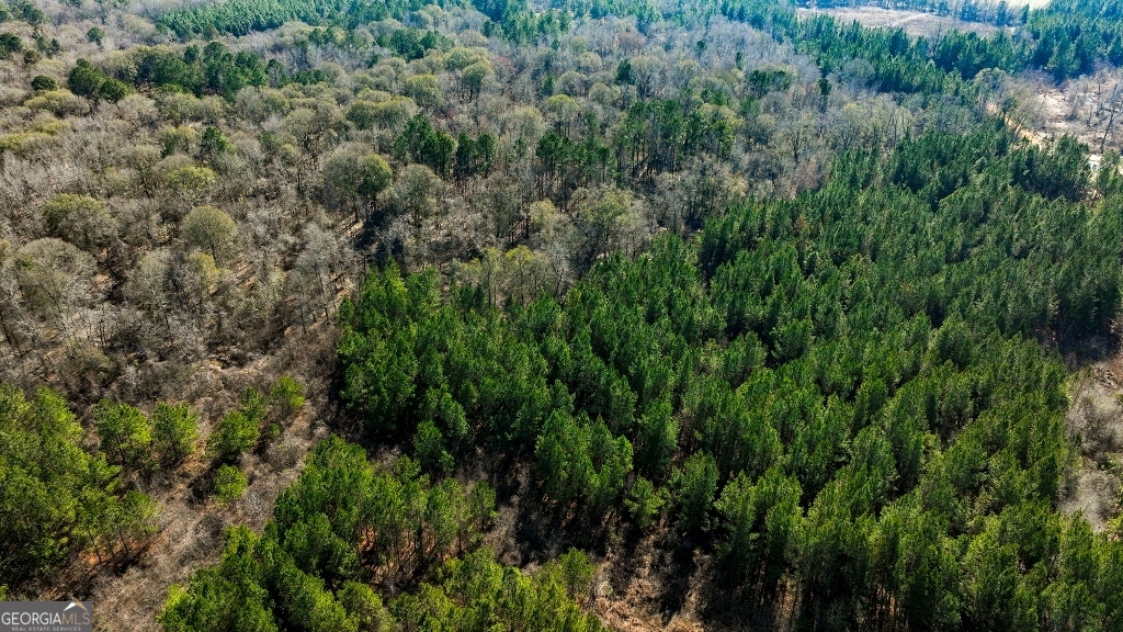 0 Crooked Road Millen, GA 30442 - Photo 31 of 33