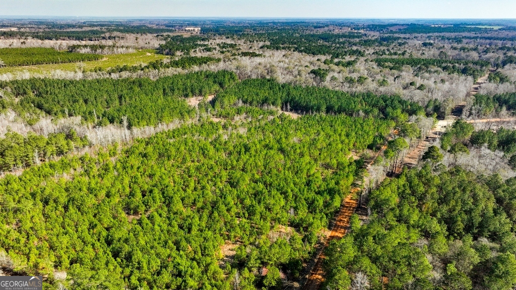 0 Crooked Road Millen, GA 30442 - Photo 33 of 33