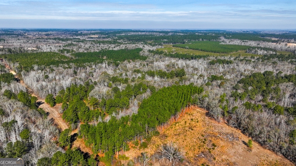 0 Crooked Road Millen, GA 30442 - Photo 4 of 33