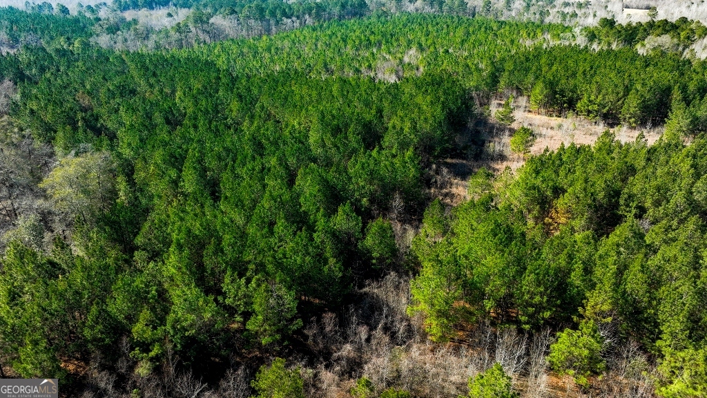 0 Crooked Road Millen, GA 30442 - Photo 7 of 33