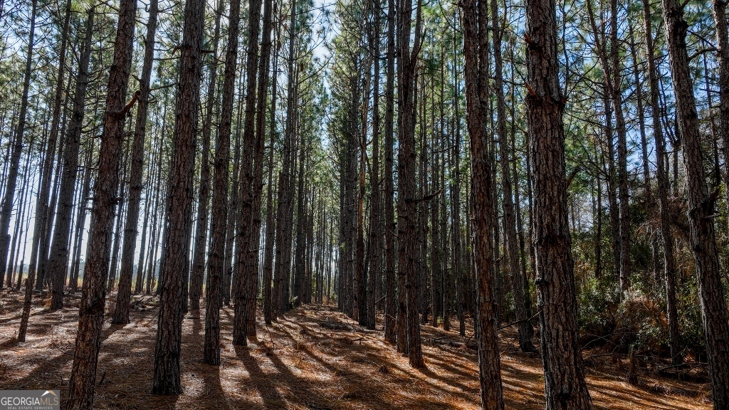 0 Crooked Road Millen, GA 30442 - Photo 8 of 33
