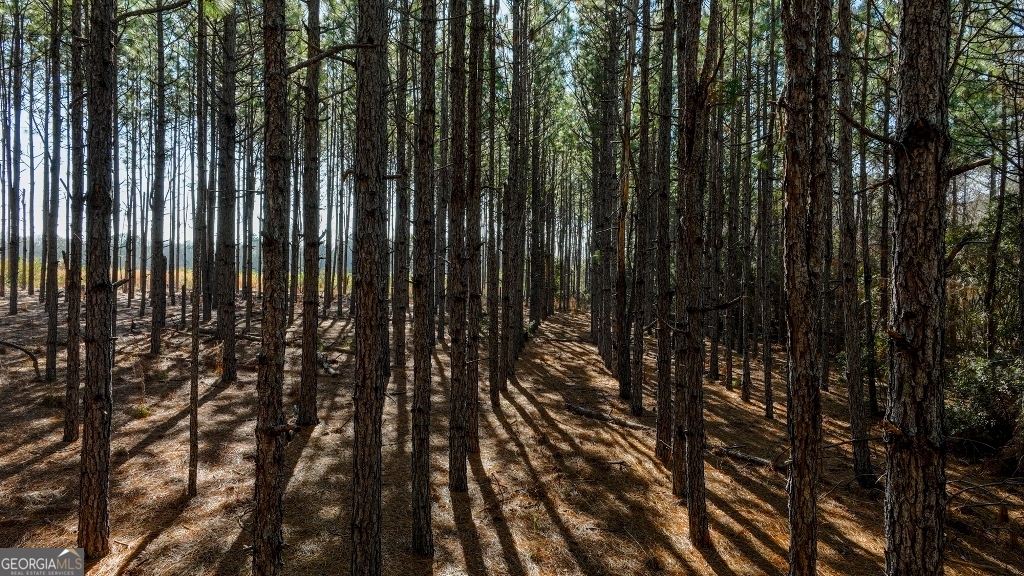 0 Crooked Road Millen, GA 30442 - Photo 9 of 33