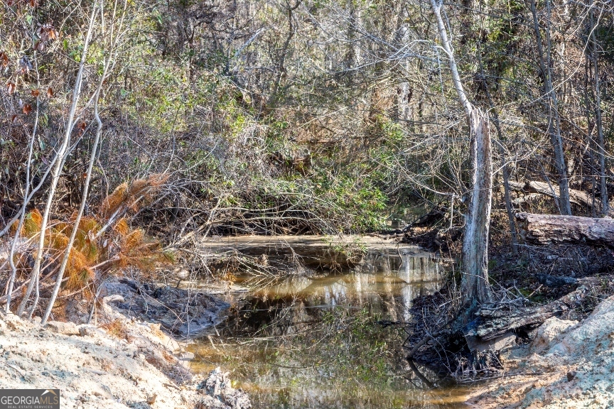 0 Crooked Road Millen, GA 30442 - Photo 10 of 33