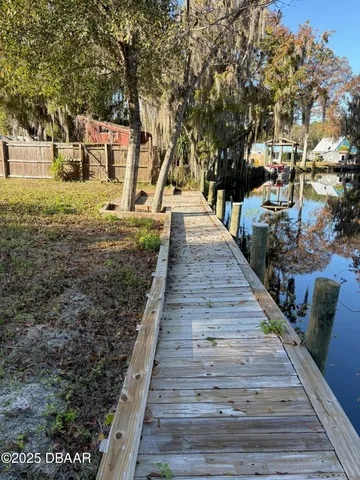 a view of a yard with plants and trees