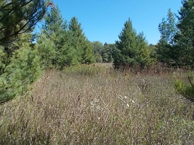 Lot 2 Humbug Road Ellison Bay, WI 54210 - Photo 1 of 1