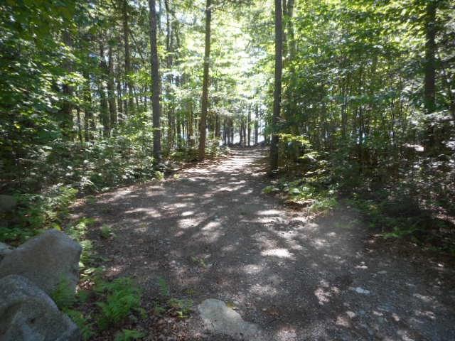 334 Bluff Road Enfield, ME 04493 - Photo 13 of 26 Path to the lake!