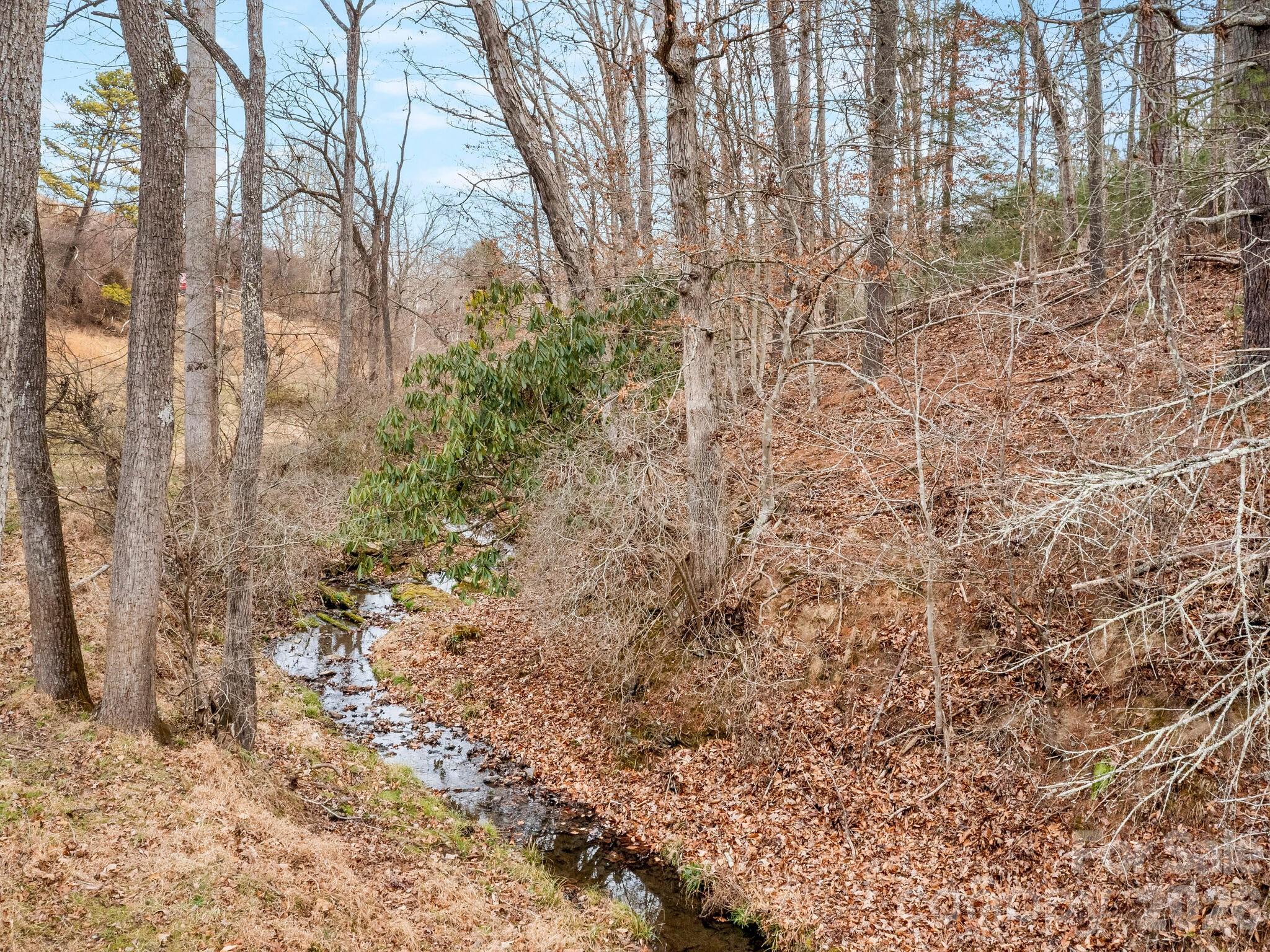 132 Snelson Cemetary Road Leicester, NC 28748 - Photo 28 of 34 a view of a yard with trees