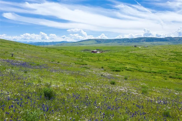 a view of a city with an ocean