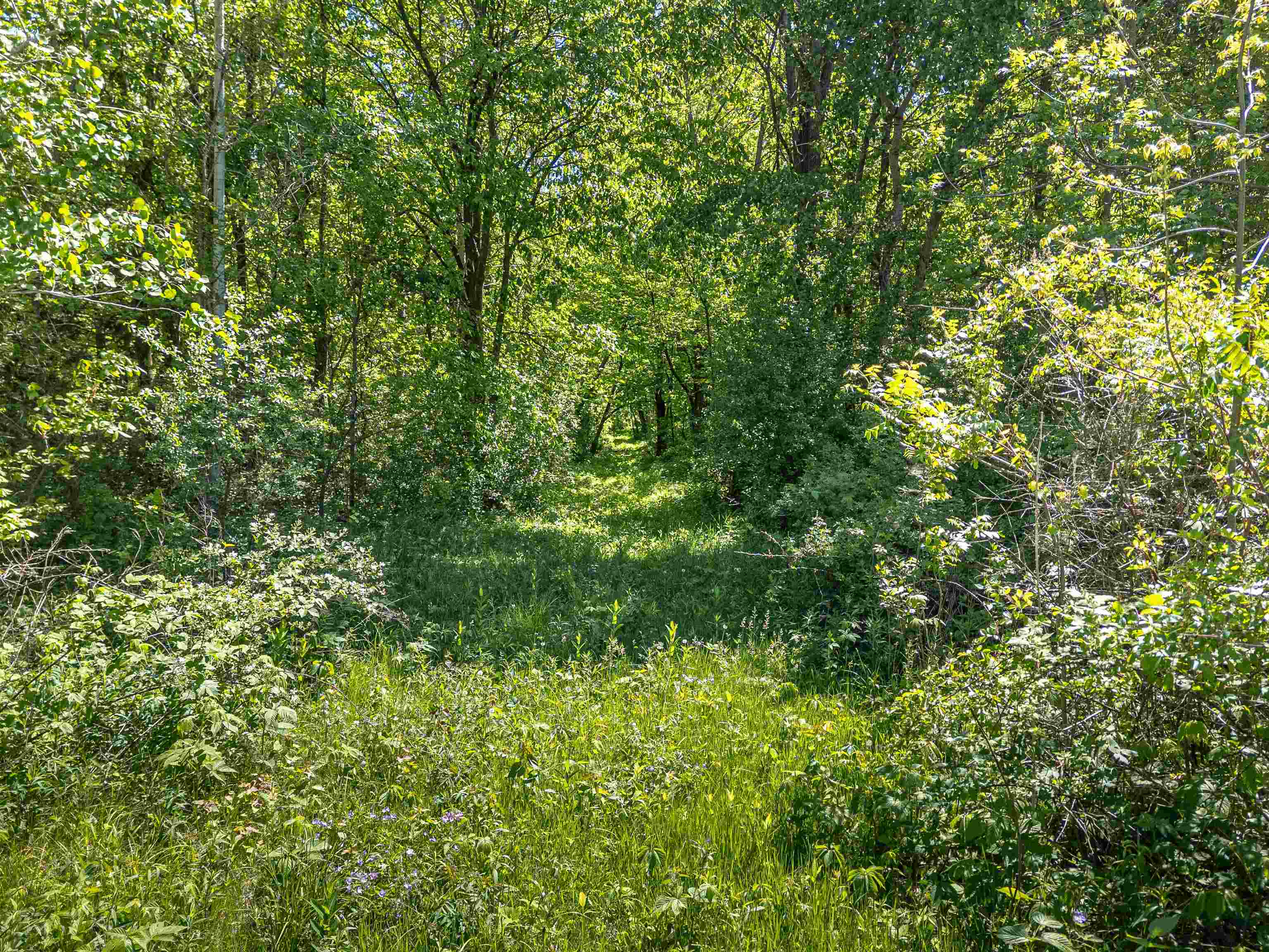 N6614 Ziebell Road Jefferson, WI 53549 - Photo 6 of 9